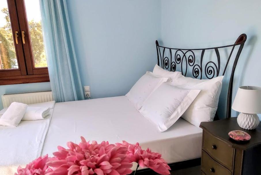 Apartmán Pelion Seaside Luxury House Áfissos Exteriér fotografie